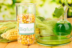 Hooton Levitt biofuel availability
