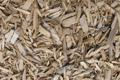 biomass boilers Hooton Levitt